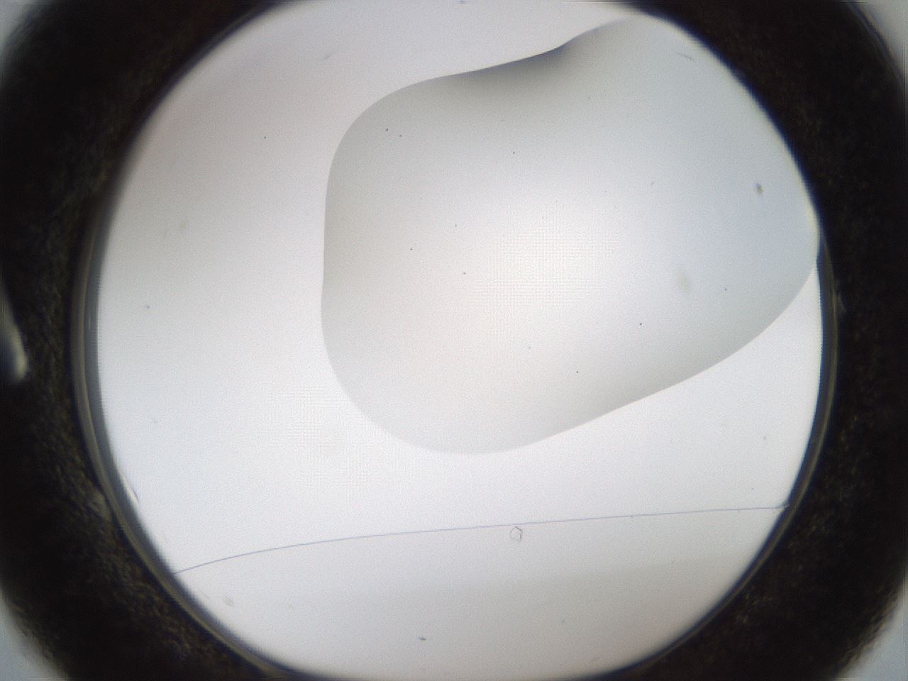 folderID201_plateID1201_batchID3524_wellNum1_profileID1_d1_r66271_ef.jpg