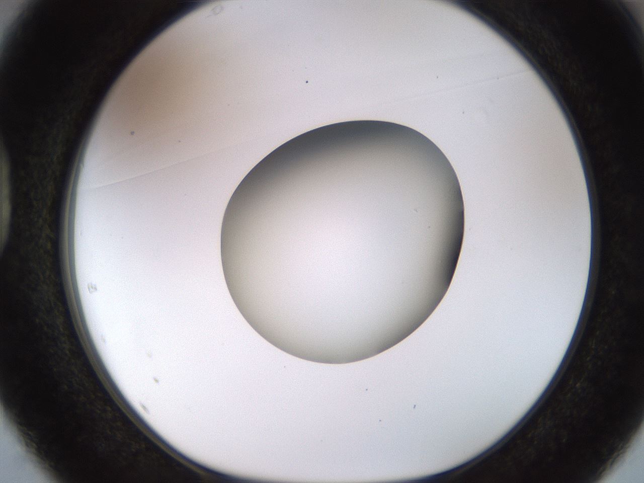folderID449_plateID1449_batchID5529_wellNum37_profileID1_d1_r92032_ef.jpg