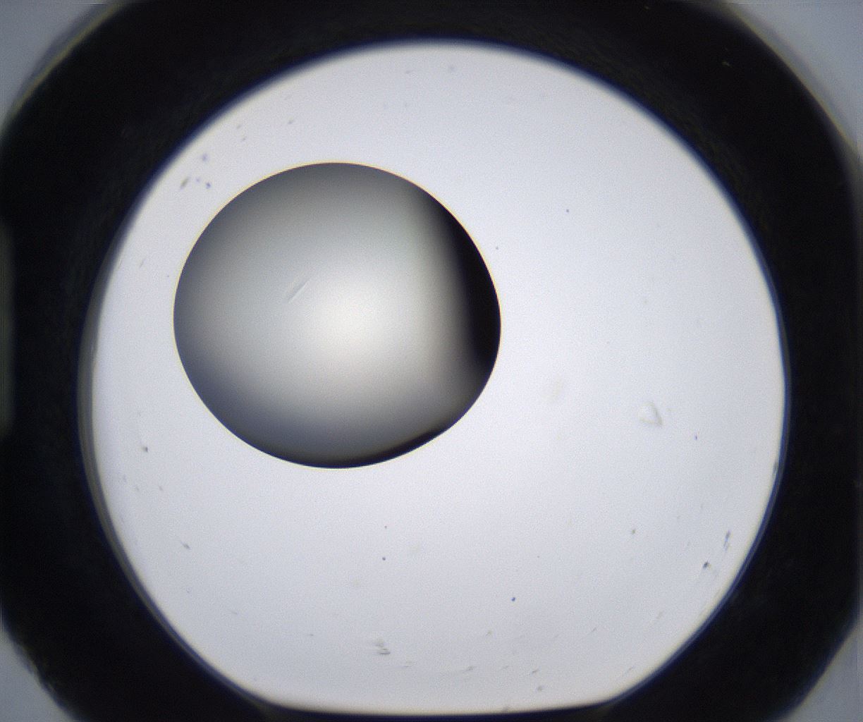 folderID200_plateID2200_batchID9969_wellNum92_profileID1_d1_r149266_ef.jpg