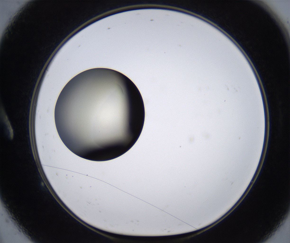 folderID200_plateID2200_batchID9969_wellNum9_profileID1_d1_r149183_ef.jpg