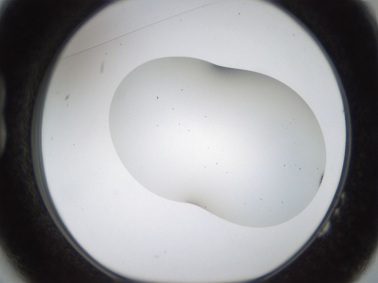folderID201_plateID1201_batchID3524_wellNum14_profileID1_d1_r66284_ef.jpg
