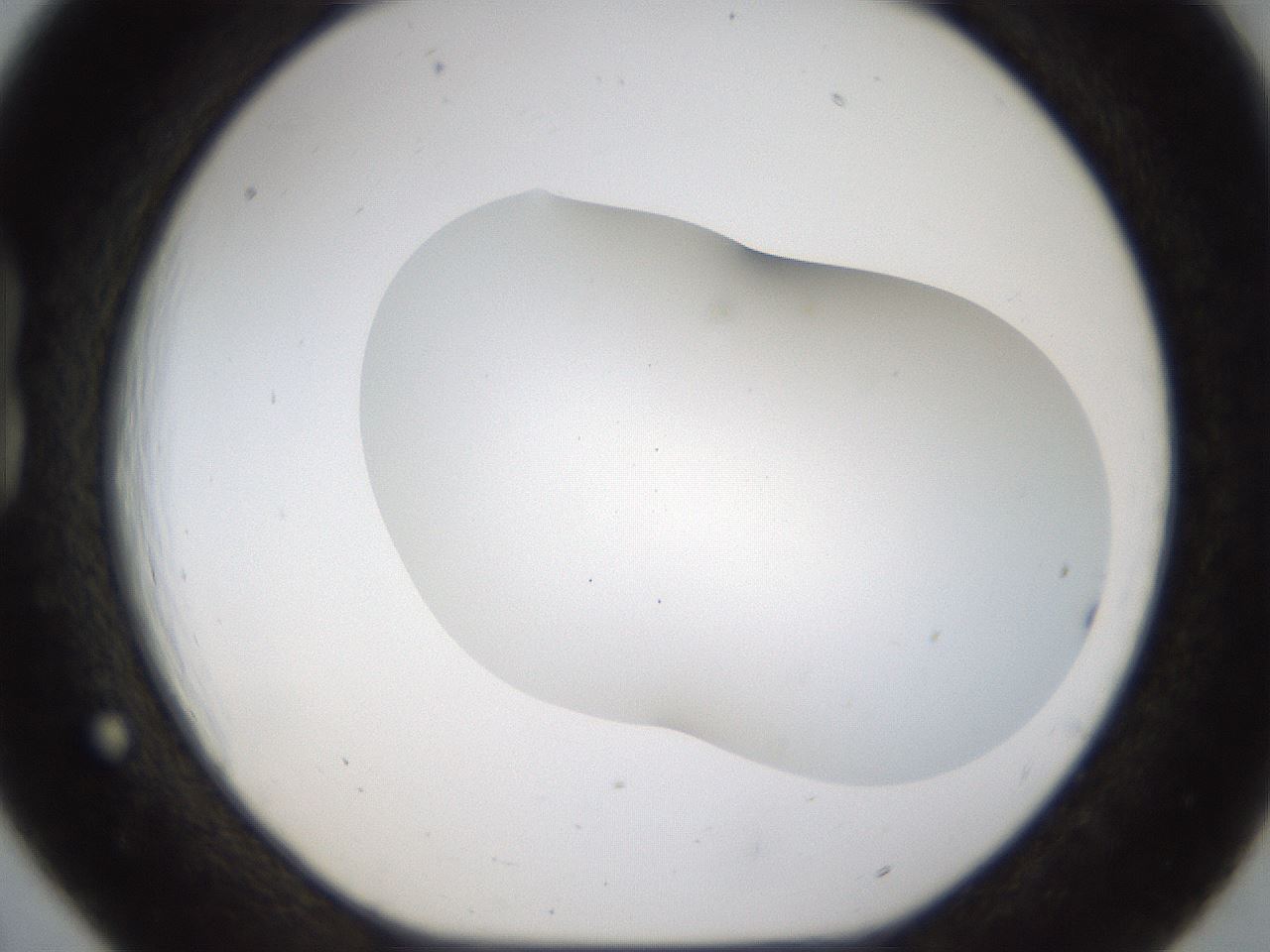 folderID201_plateID1201_batchID3524_wellNum18_profileID1_d1_r66288_ef.jpg