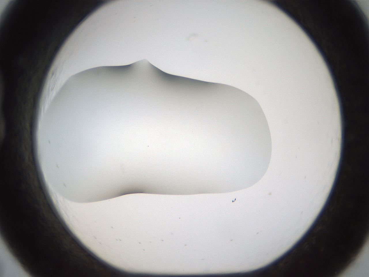 folderID201_plateID1201_batchID3524_wellNum19_profileID1_d1_r66289_ef.jpg