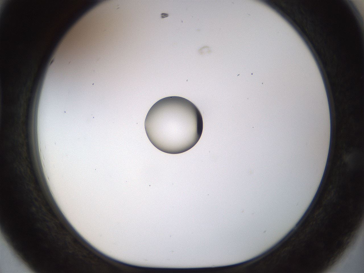 folderID449_plateID1449_batchID5529_wellNum44_profileID1_d1_r92039_ef.jpg
