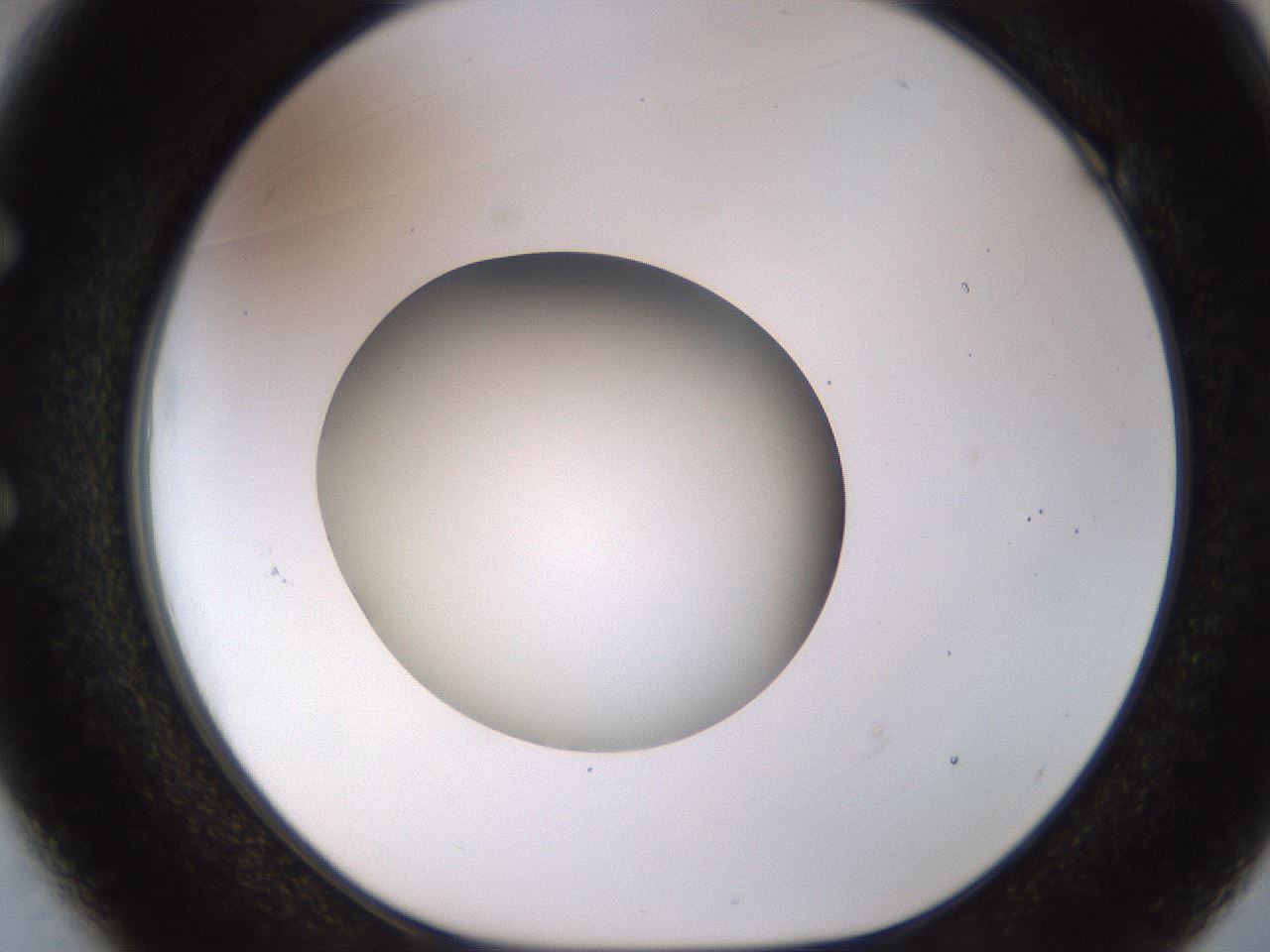 folderID449_plateID1449_batchID5529_wellNum49_profileID1_d1_r92044_ef.jpg
