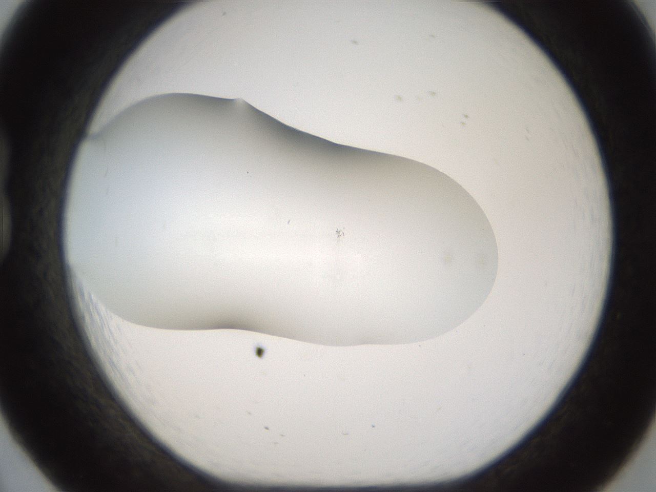 folderID201_plateID1201_batchID3524_wellNum20_profileID1_d1_r66290_ef.jpg