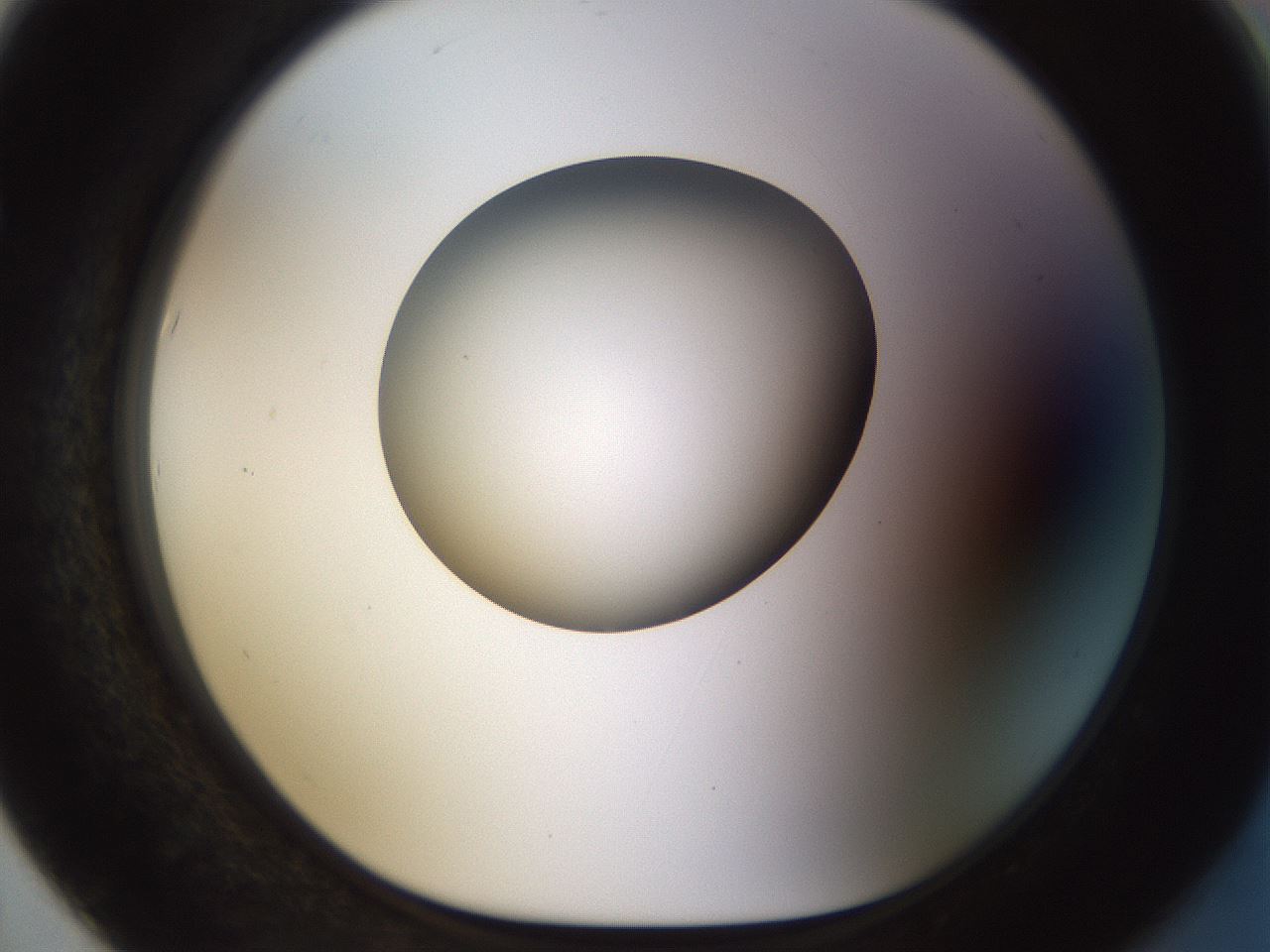 folderID449_plateID1449_batchID5529_wellNum67_profileID1_d1_r92062_ef.jpg