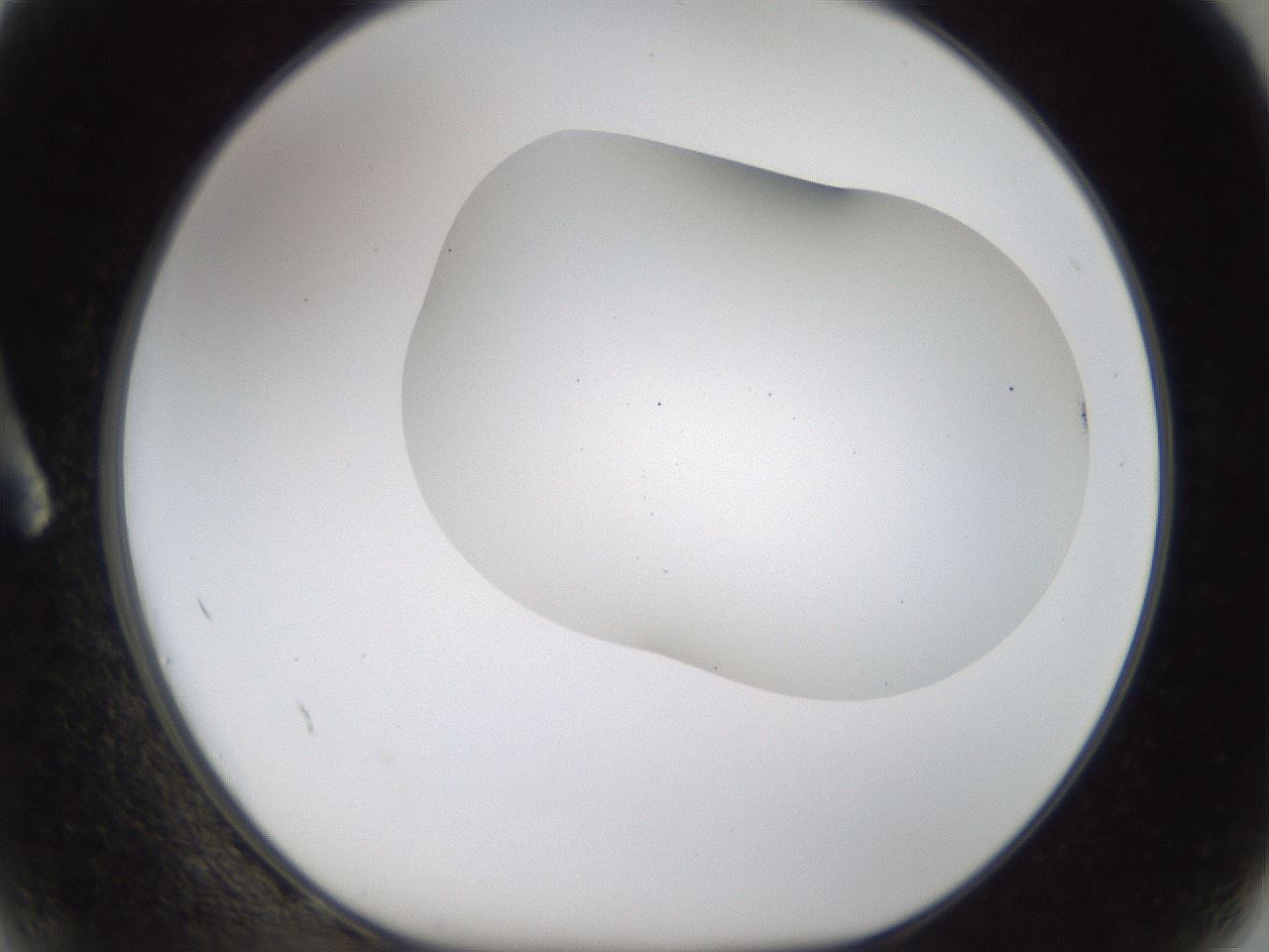 folderID201_plateID1201_batchID3524_wellNum2_profileID1_d1_r66272_ef.jpg