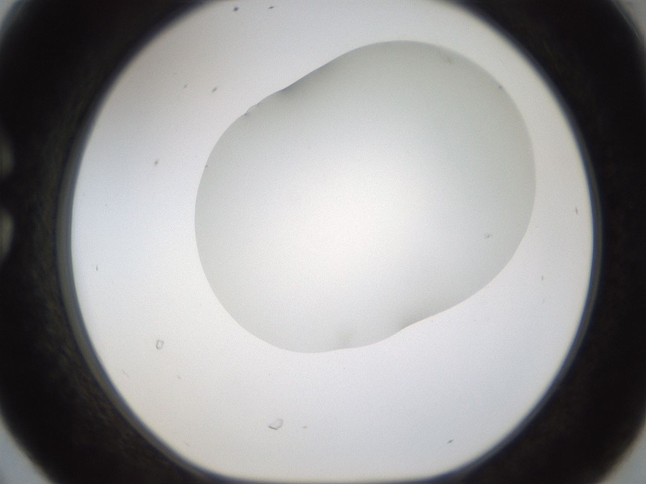 folderID201_plateID1201_batchID3524_wellNum30_profileID1_d1_r66300_ef.jpg