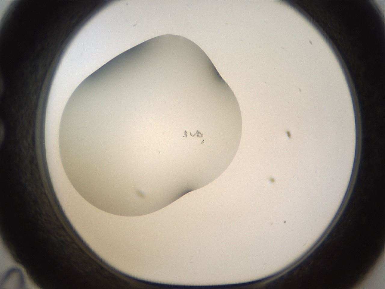 folderID201_plateID1201_batchID3524_wellNum35_profileID1_d1_r66305_ef.jpg