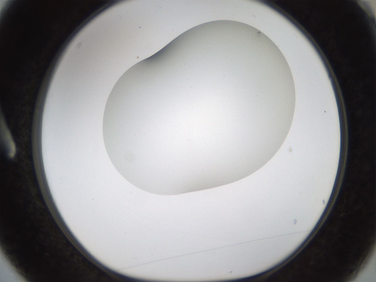 folderID201_plateID1201_batchID3524_wellNum3_profileID1_d1_r66273_ef.jpg