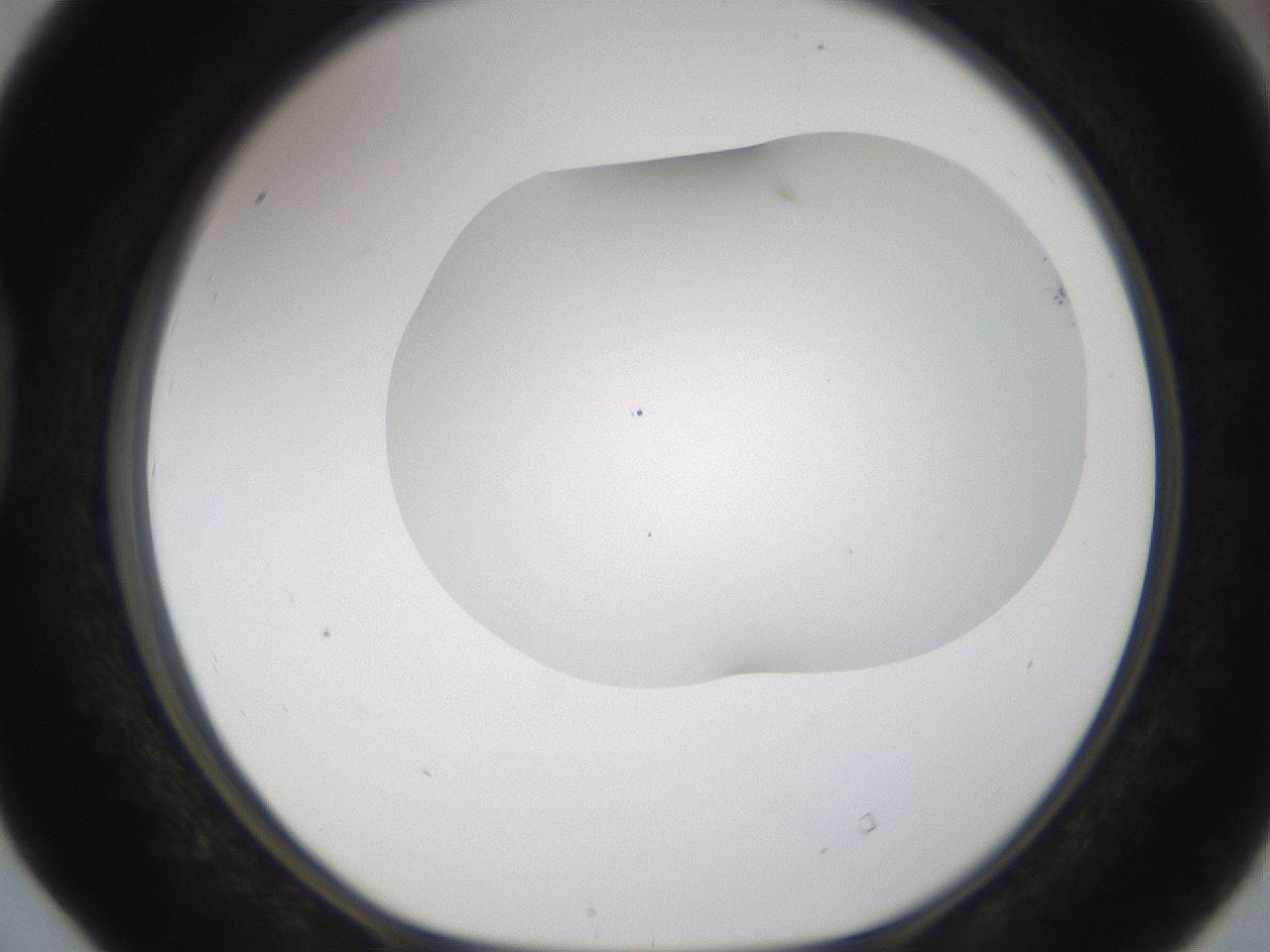 folderID201_plateID1201_batchID3524_wellNum40_profileID1_d1_r66310_ef.jpg