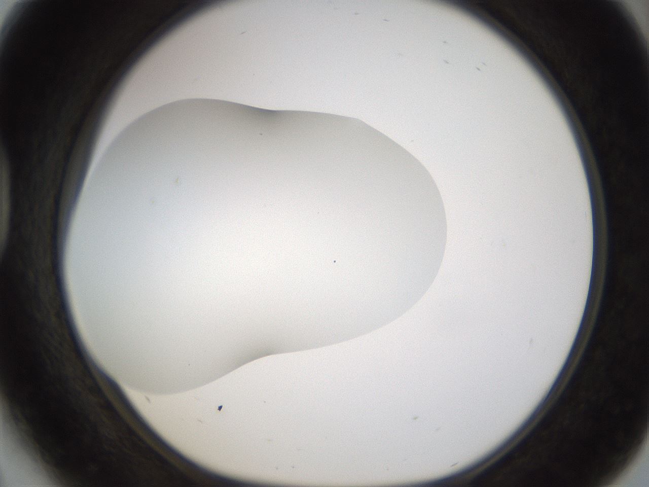 folderID201_plateID1201_batchID3524_wellNum41_profileID1_d1_r66311_ef.jpg