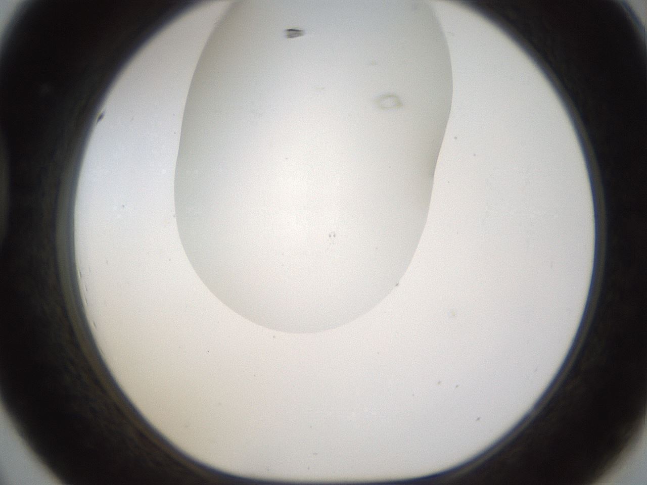 folderID201_plateID1201_batchID3524_wellNum44_profileID1_d1_r66314_ef.jpg