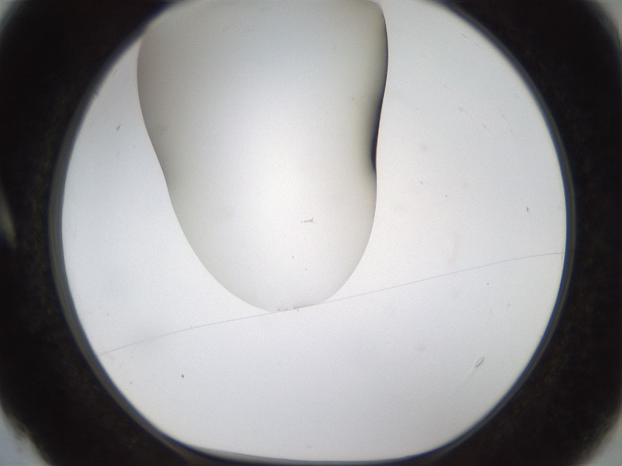 folderID201_plateID1201_batchID3524_wellNum4_profileID1_d1_r66274_ef.jpg