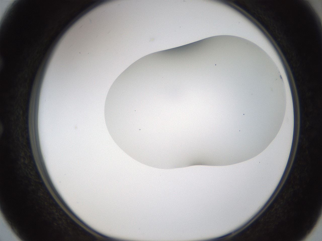 folderID201_plateID1201_batchID3524_wellNum50_profileID1_d1_r66320_ef.jpg
