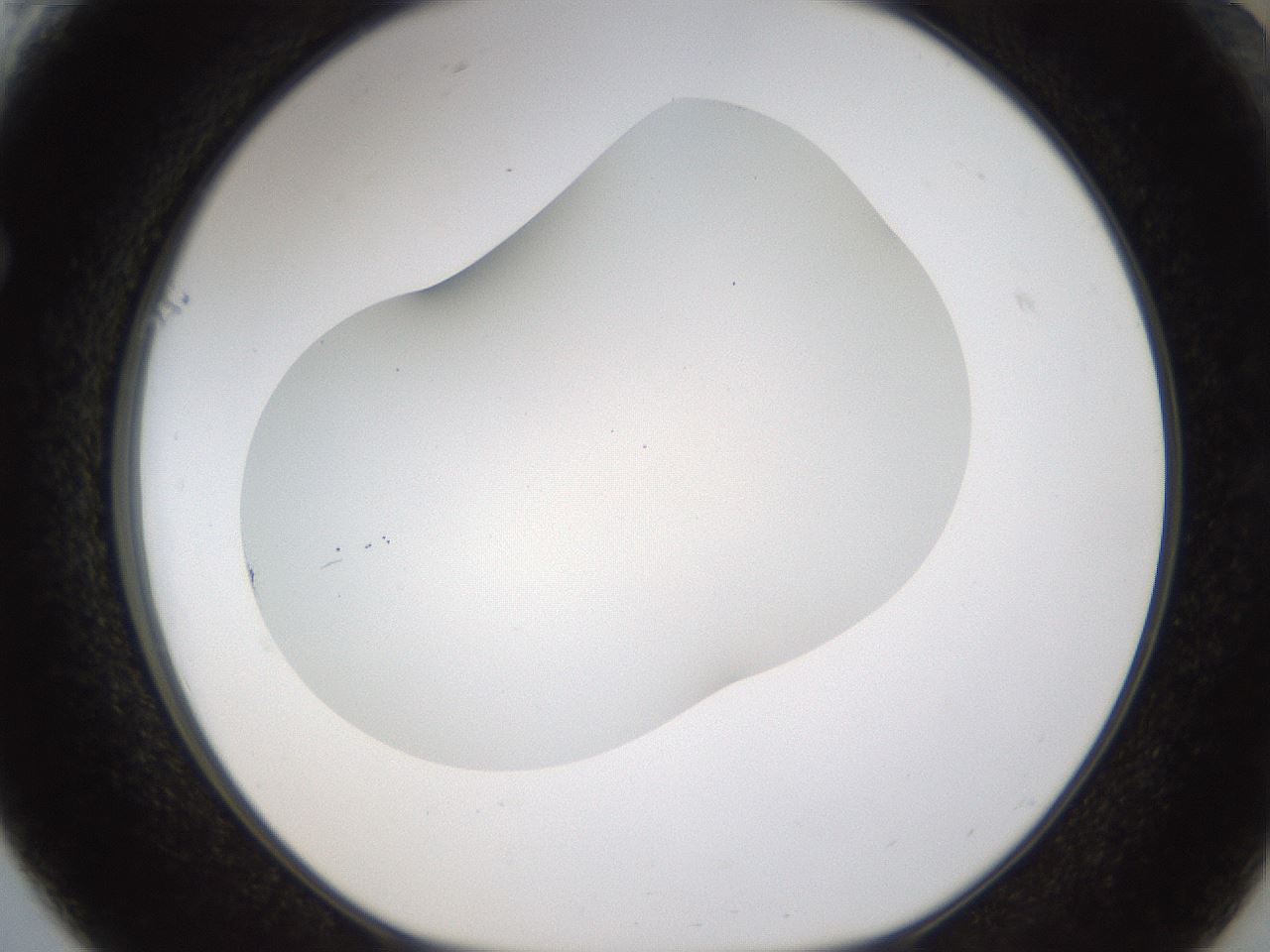 folderID201_plateID1201_batchID3524_wellNum61_profileID1_d1_r66331_ef.jpg