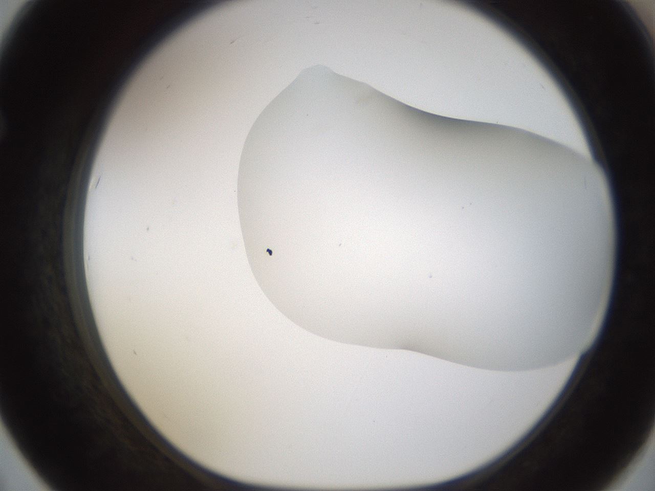 folderID201_plateID1201_batchID3524_wellNum67_profileID1_d1_r66337_ef.jpg