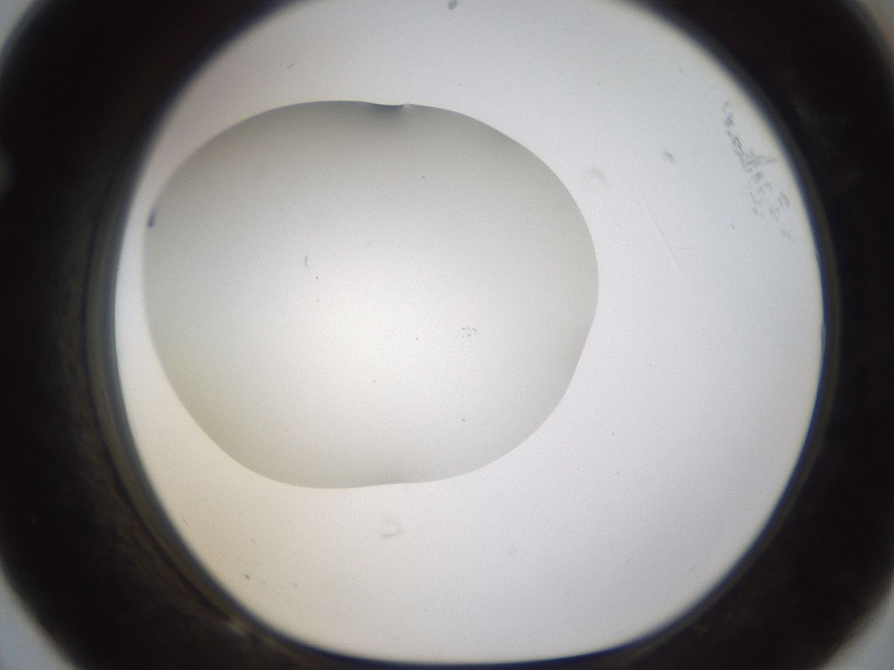folderID201_plateID1201_batchID3524_wellNum68_profileID1_d1_r66338_ef.jpg