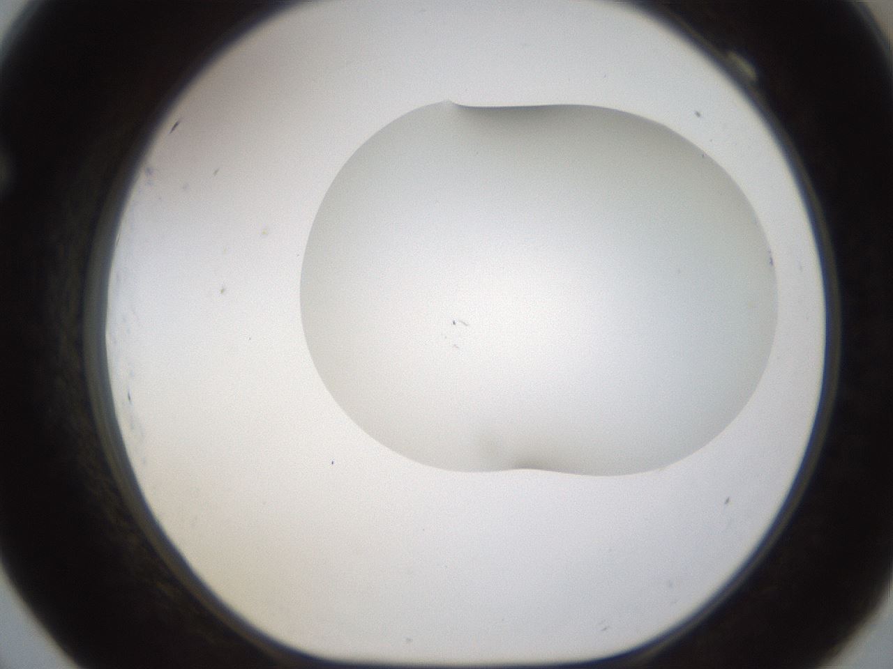 folderID201_plateID1201_batchID3524_wellNum69_profileID1_d1_r66339_ef.jpg