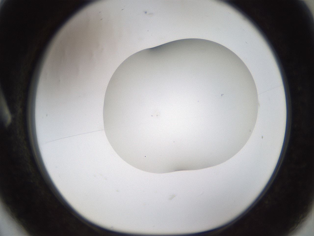 folderID201_plateID1201_batchID3524_wellNum6_profileID1_d1_r66276_ef.jpg