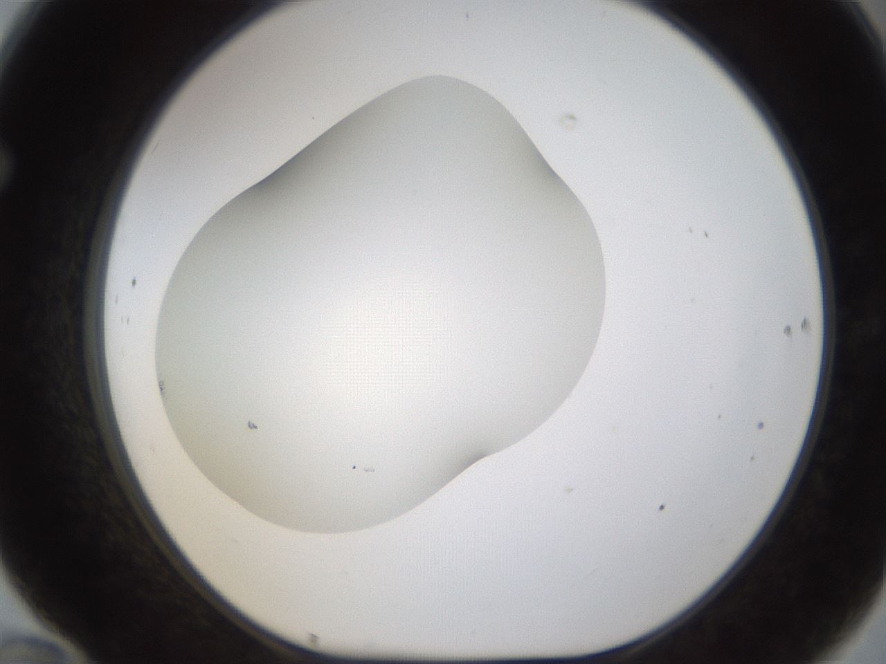 folderID201_plateID1201_batchID3524_wellNum70_profileID1_d1_r66340_ef.jpg
