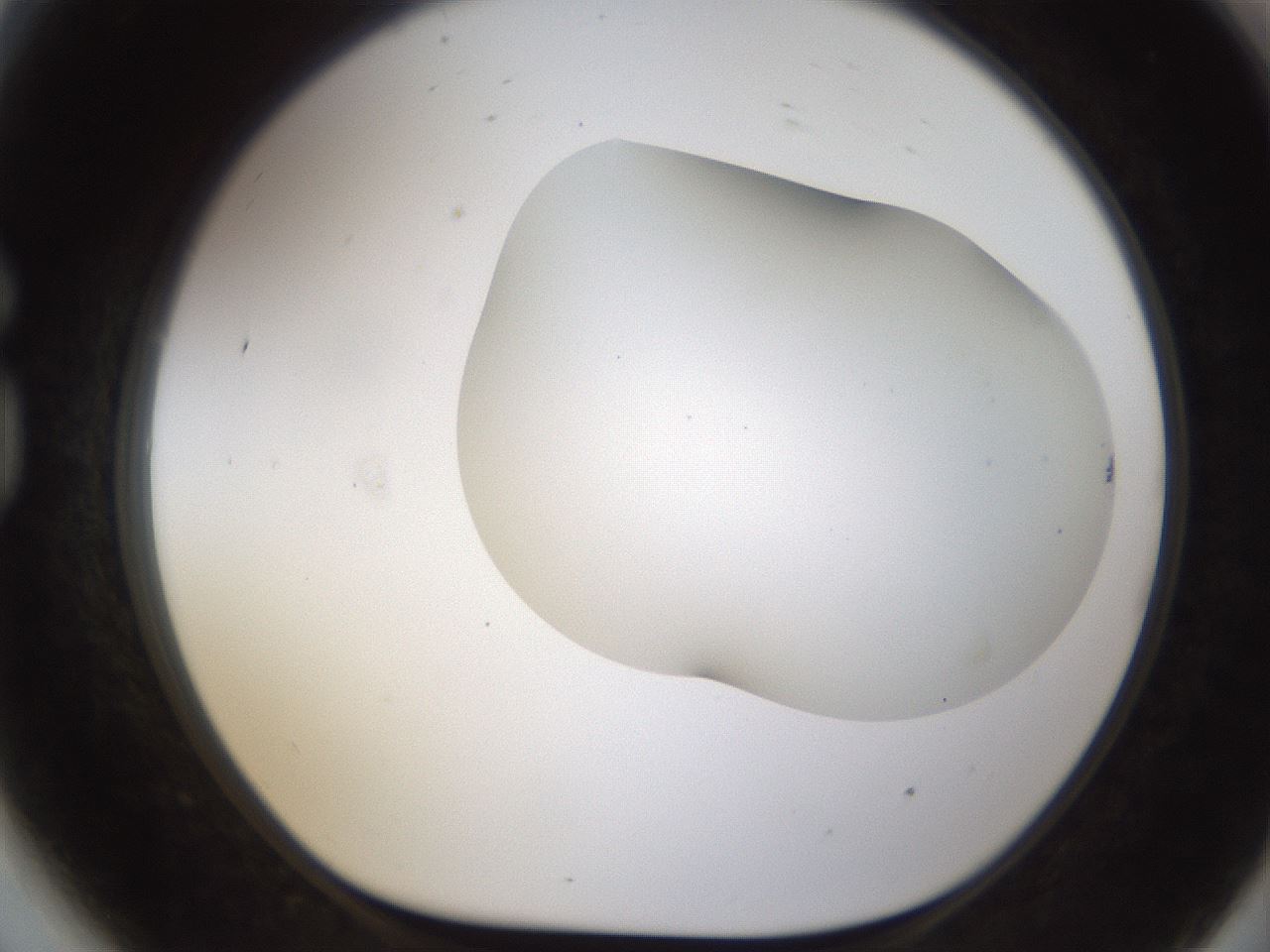 folderID201_plateID1201_batchID3524_wellNum81_profileID1_d1_r66351_ef.jpg