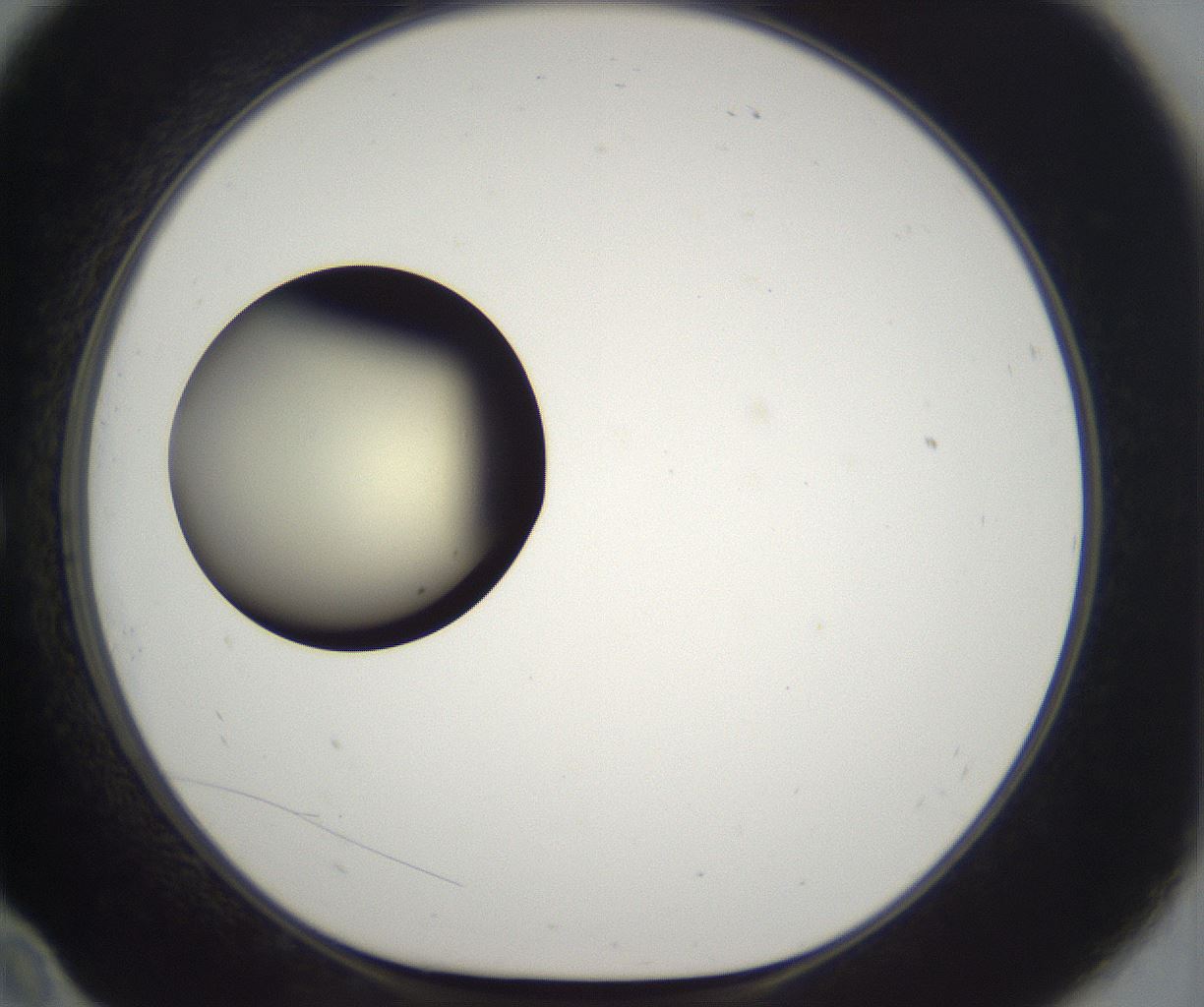 folderID201_plateID2201_batchID9974_wellNum10_profileID1_d1_r149472_ef.jpg