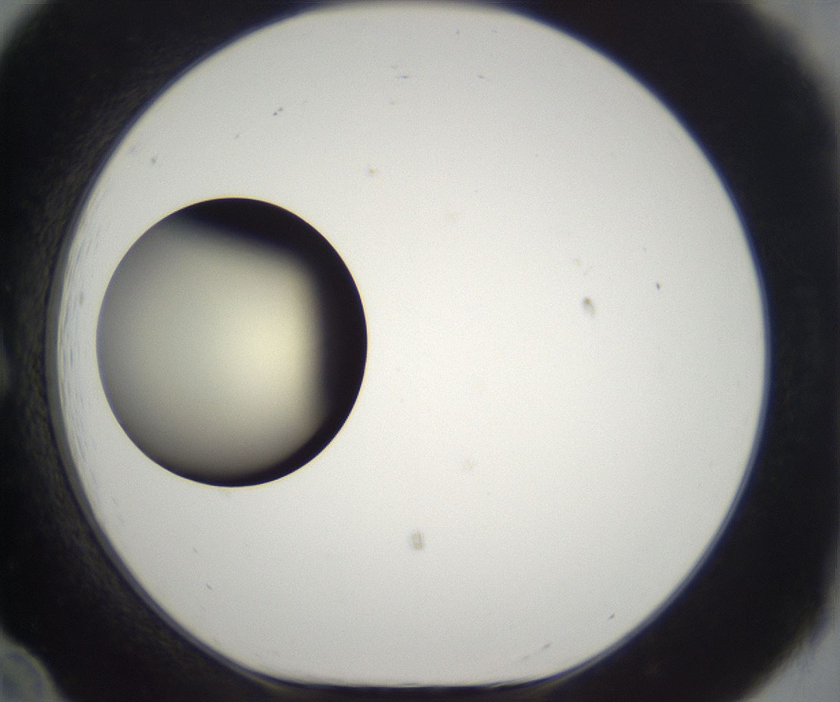 folderID201_plateID2201_batchID9974_wellNum12_profileID1_d1_r149474_ef.jpg