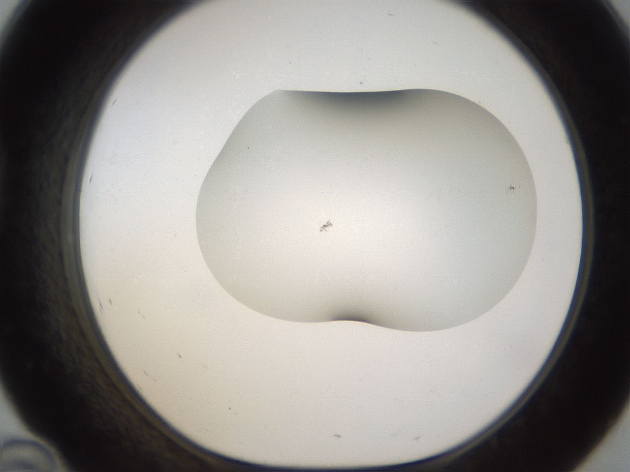 folderID201_plateID1201_batchID3524_wellNum46_profileID1_d1_r66316_ef.jpg