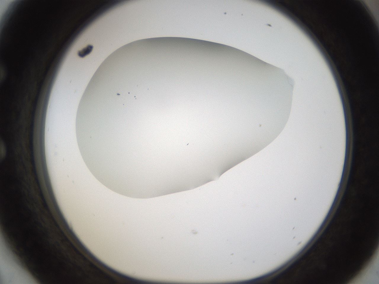folderID201_plateID1201_batchID3524_wellNum54_profileID1_d1_r66324_ef.jpg