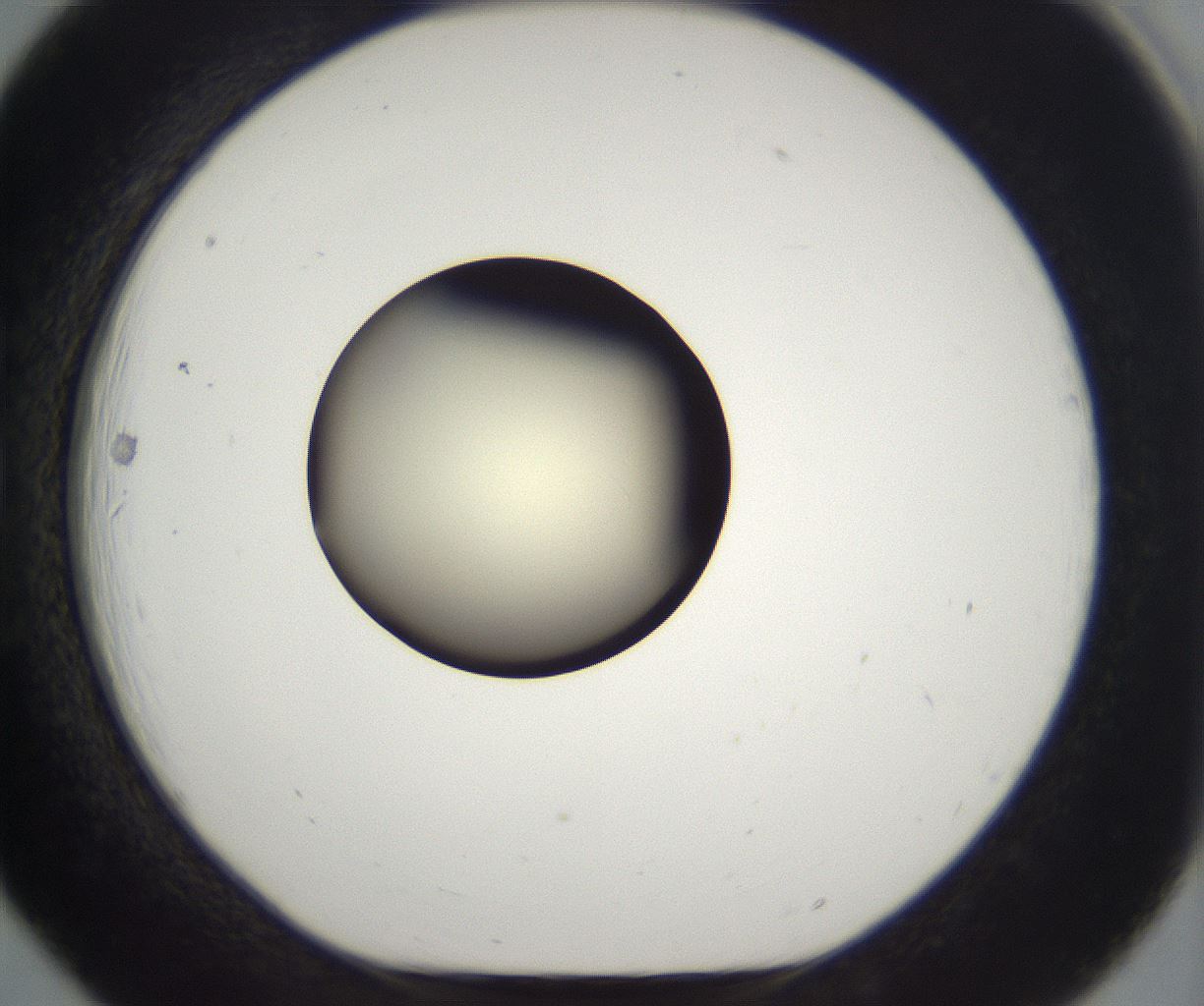 folderID201_plateID2201_batchID9974_wellNum18_profileID1_d1_r149480_ef.jpg