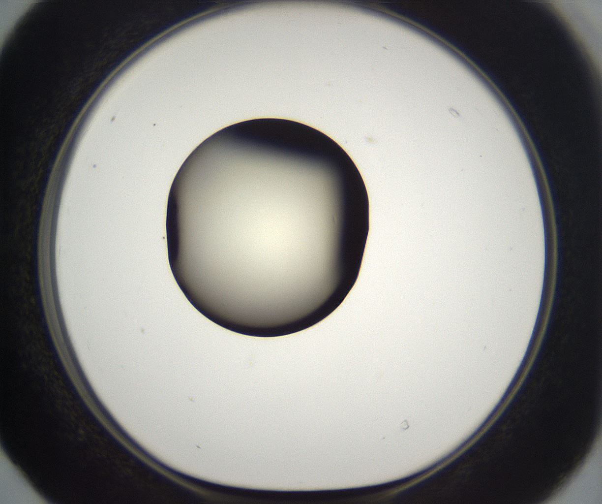 folderID201_plateID2201_batchID9974_wellNum40_profileID1_d1_r149502_ef.jpg