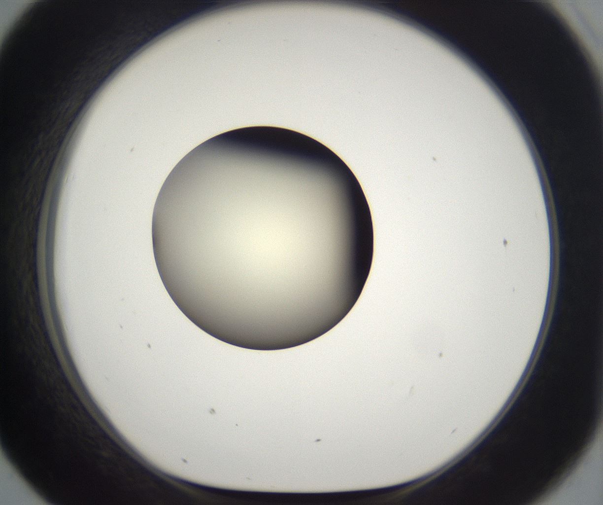 folderID201_plateID2201_batchID9974_wellNum43_profileID1_d1_r149505_ef.jpg