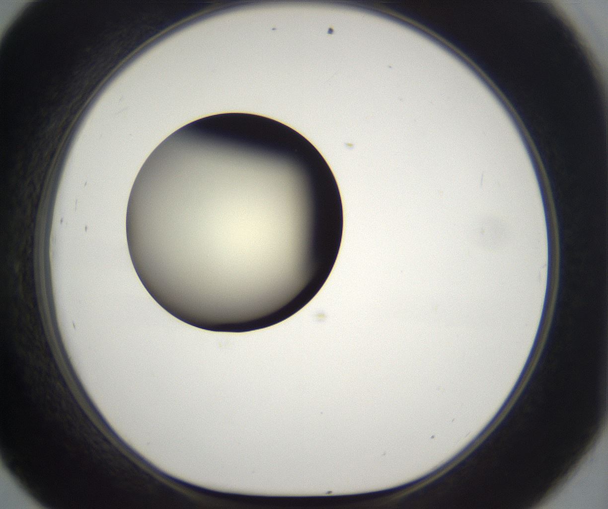 folderID201_plateID2201_batchID9974_wellNum45_profileID1_d1_r149507_ef.jpg