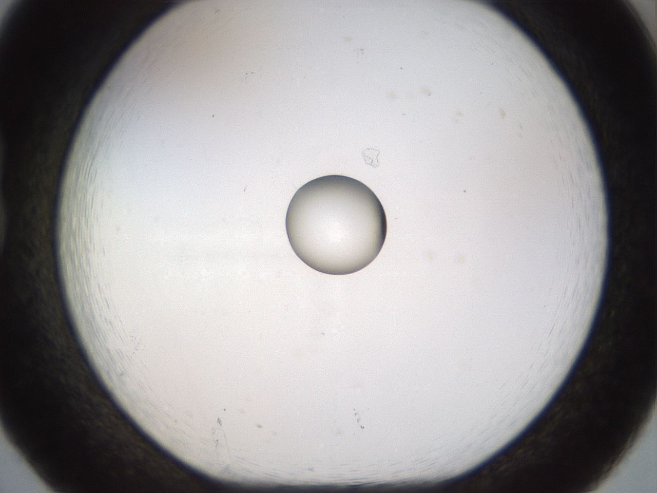 folderID450_plateID1450_batchID5527_wellNum20_profileID1_d1_r91919_ef.jpg