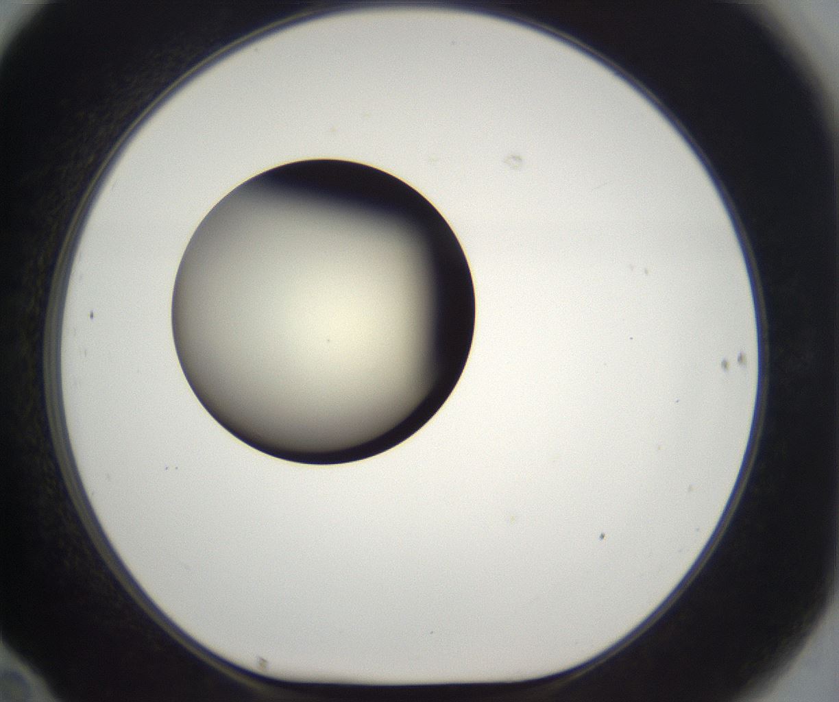 folderID201_plateID2201_batchID9974_wellNum70_profileID1_d1_r149532_ef.jpg