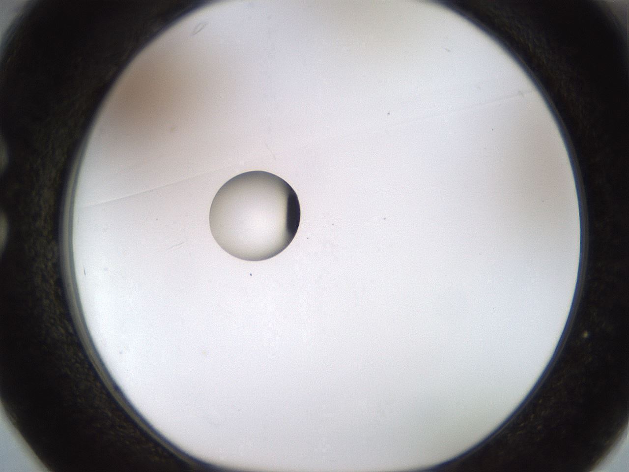 folderID450_plateID1450_batchID5527_wellNum25_profileID1_d1_r91924_ef.jpg