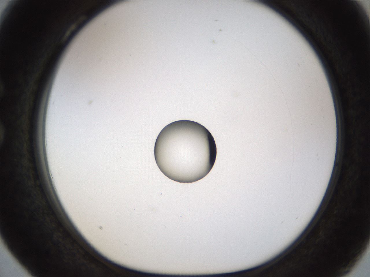 folderID450_plateID1450_batchID5527_wellNum28_profileID1_d1_r91927_ef.jpg