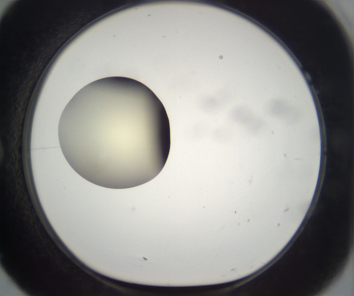 folderID201_plateID2201_batchID9974_wellNum7_profileID1_d1_r149469_ef.jpg