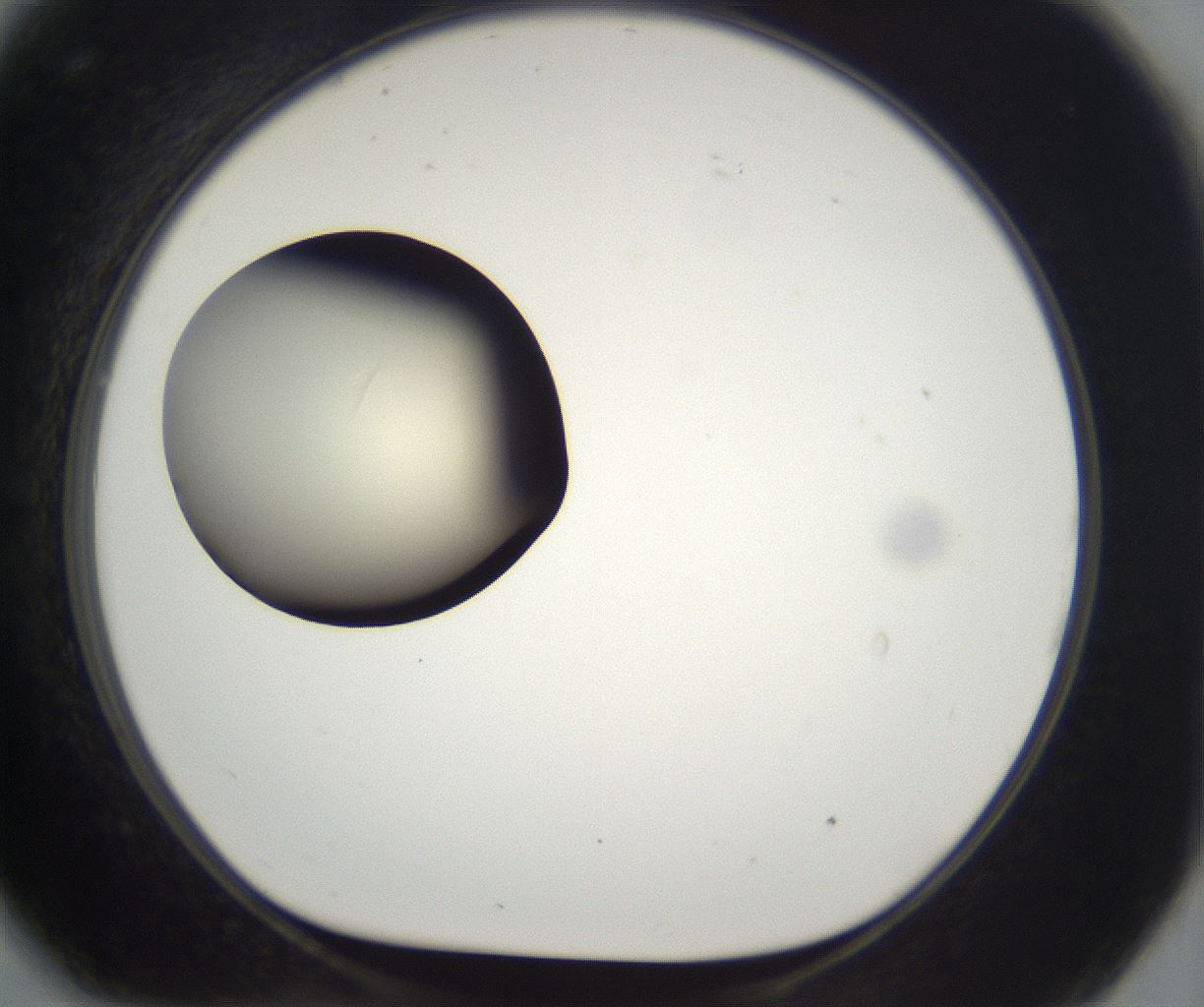 folderID201_plateID2201_batchID9974_wellNum81_profileID1_d1_r149543_ef.jpg