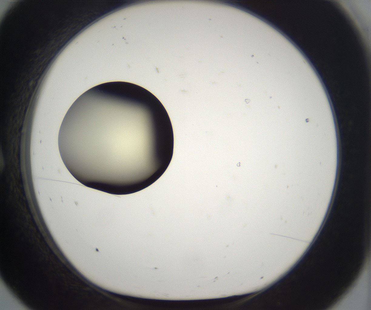 folderID201_plateID2201_batchID9974_wellNum8_profileID1_d1_r149470_ef.jpg