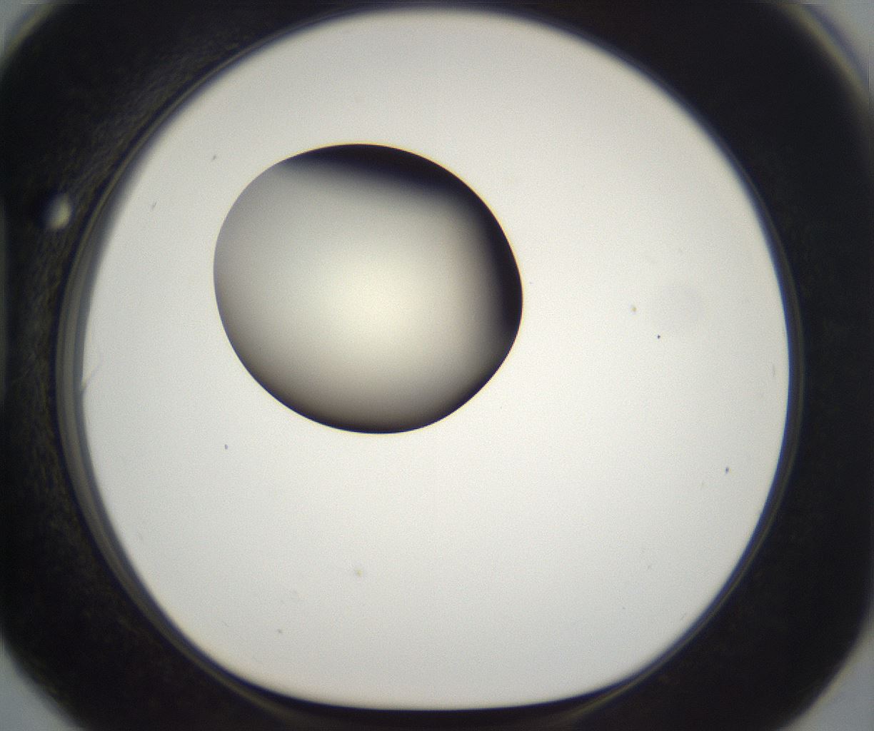 folderID201_plateID2201_batchID9974_wellNum90_profileID1_d1_r149552_ef.jpg