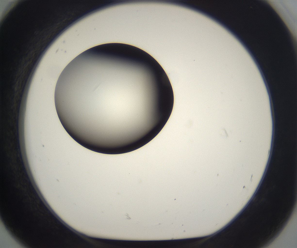 folderID201_plateID2201_batchID9974_wellNum92_profileID1_d1_r149554_ef.jpg