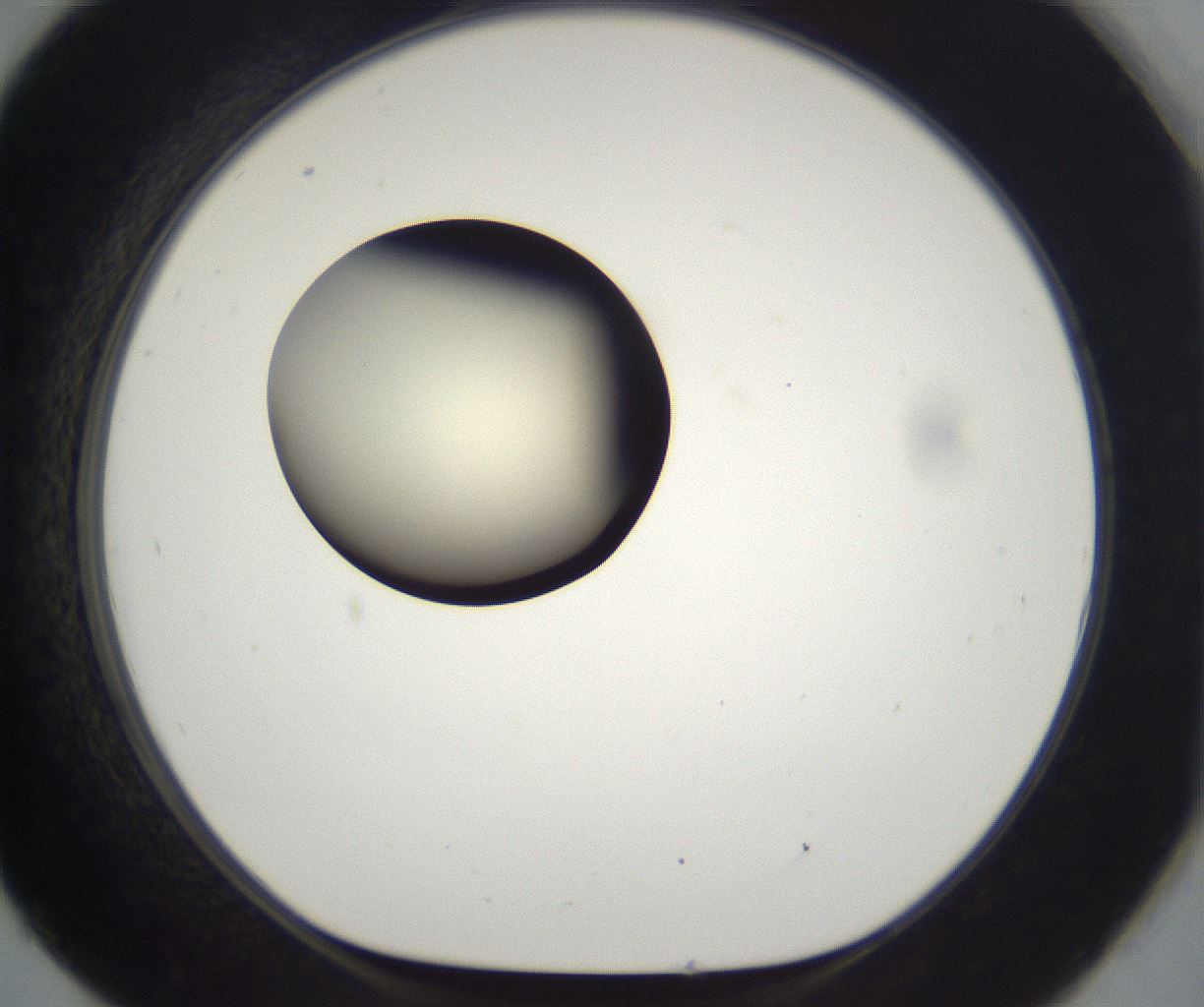 folderID201_plateID2201_batchID9974_wellNum93_profileID1_d1_r149555_ef.jpg