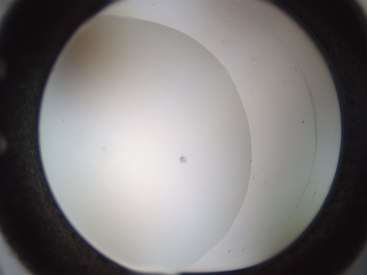 folderID450_plateID1450_batchID5527_wellNum51_profileID1_d1_r91950_ef.jpg