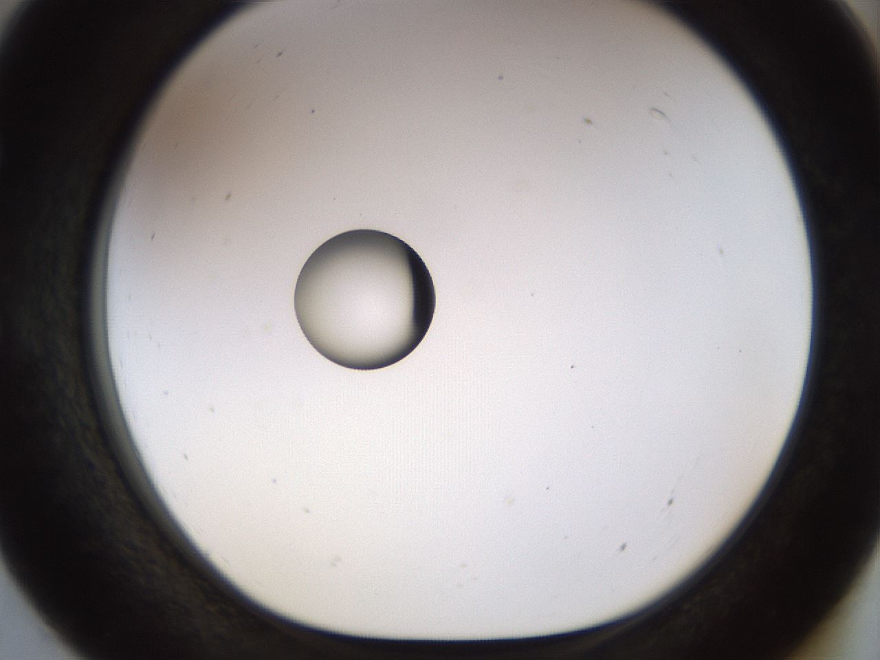 folderID450_plateID1450_batchID5527_wellNum55_profileID1_d1_r91954_ef.jpg