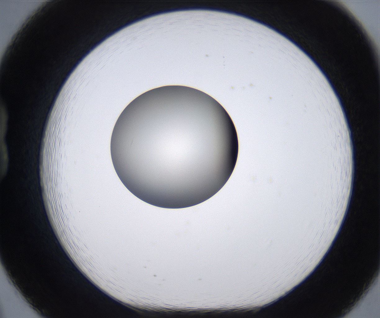 folderID202_plateID2202_batchID9973_wellNum20_profileID1_d1_r149386_ef.jpg