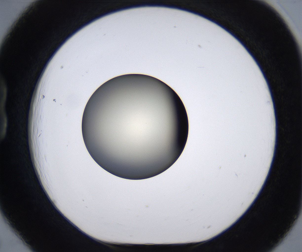 folderID202_plateID2202_batchID9973_wellNum18_profileID1_d1_r149384_ef.jpg