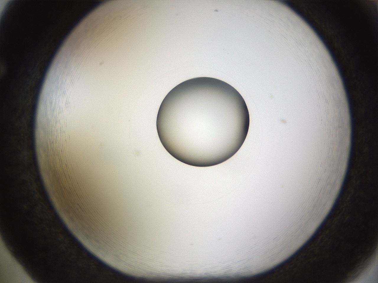 folderID450_plateID1450_batchID5527_wellNum65_profileID1_d1_r91964_ef.jpg